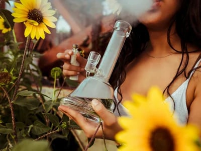Explore Top Strains and Buy Weed Online Ireland Safely