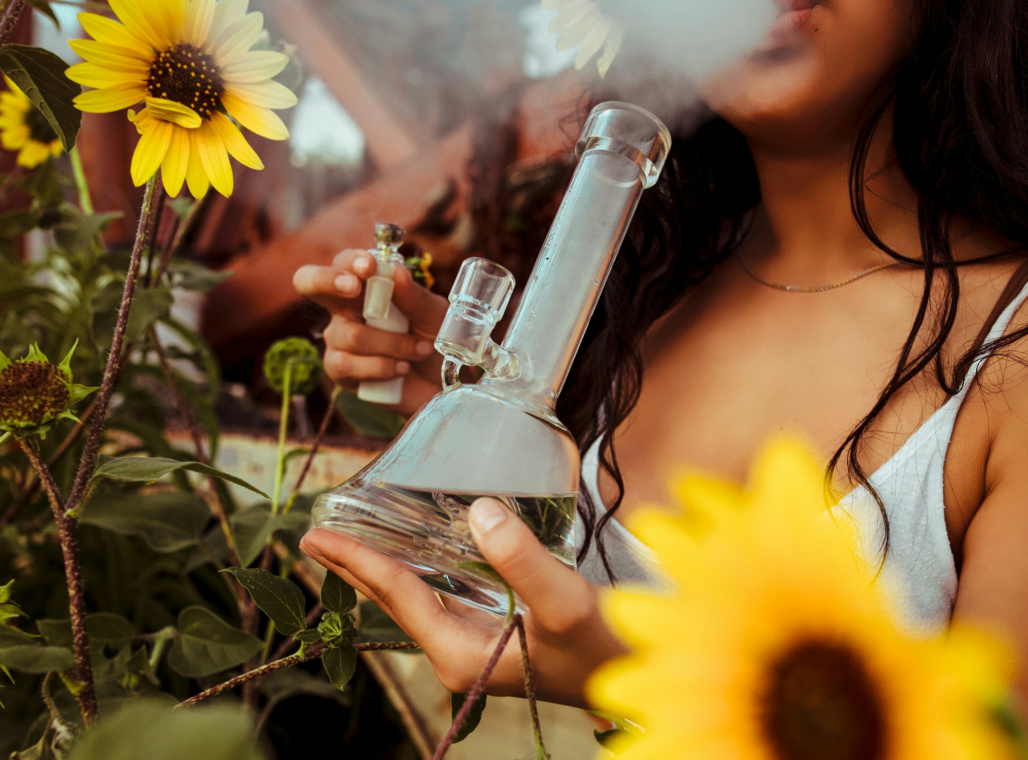 Explore Top Strains and Buy Weed Online Ireland Safely